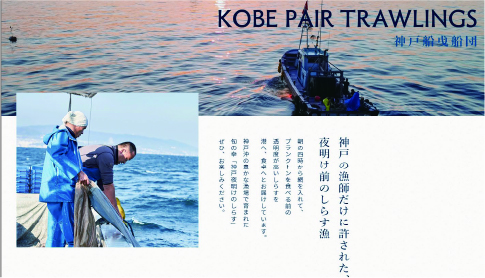 夜明けのシラスPR映像作成