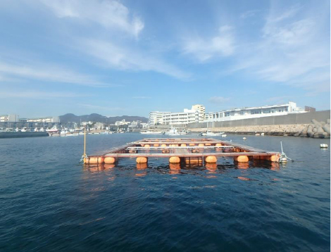 神戸市漁業協同組合にいけすを寄贈